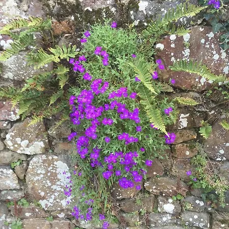 Alojamento de Acomodação e Pequeno-almoço Le Domaine De Belleville
