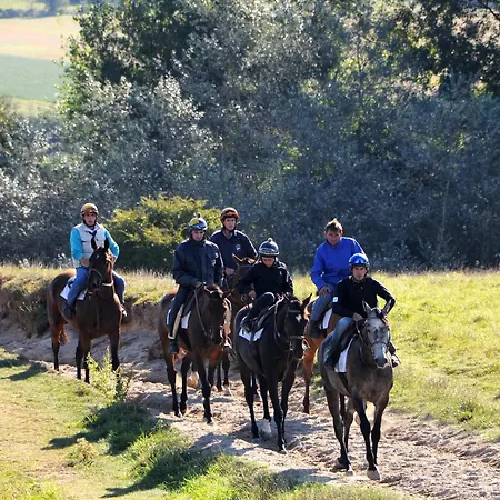 Le Domaine De Belleville Alojamento de Acomodação e Pequeno-almoço