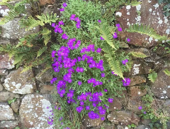 B&B 르 도멘 드 벨빌