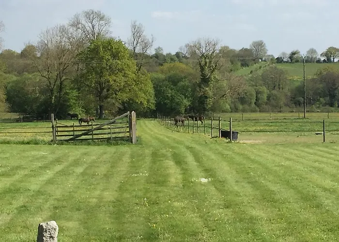 Le Domaine De Belleville Dragey-Ronthon